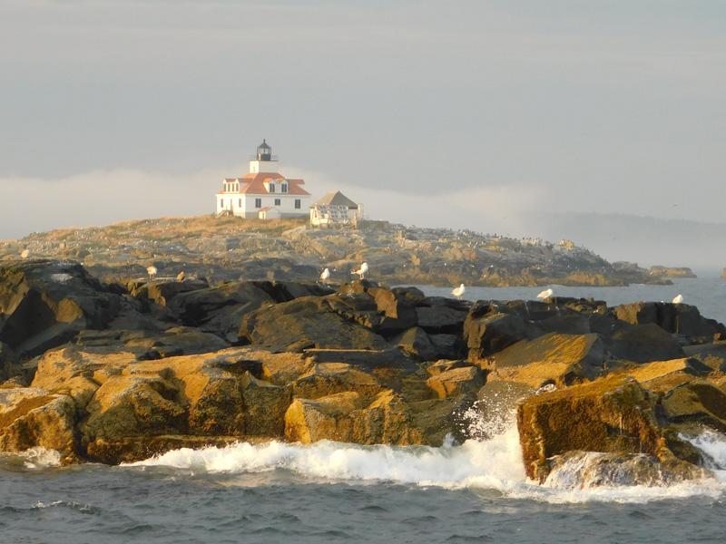 Acadia Lighthouse by Alex Jordon